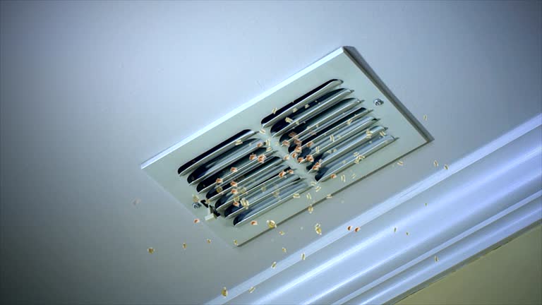 Best Affordable HVAC Duct Cleaning  in Mokuleia, HI