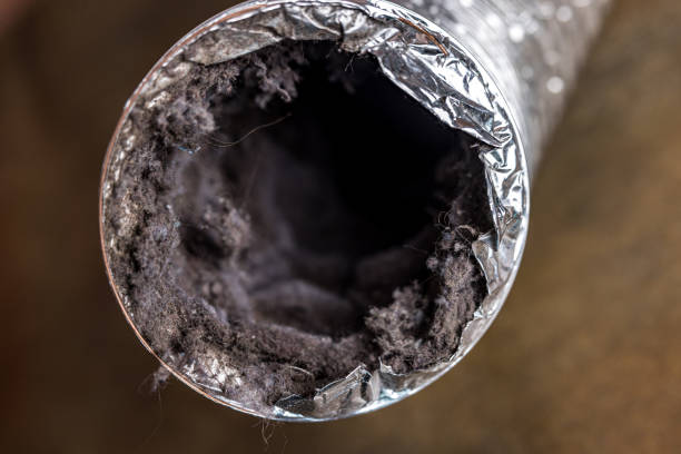 Best Air Duct Cleaning Near Me  in Mokuleia, HI